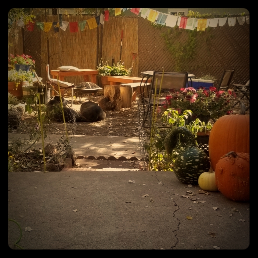 Meet your Posher, Kendra